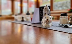 Ferien vom Ich